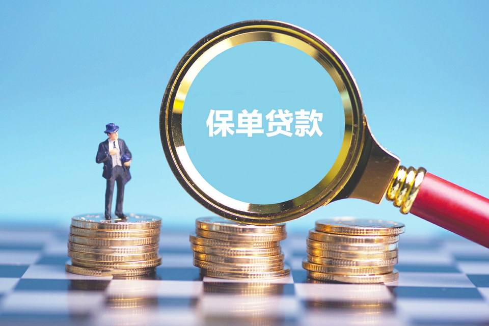 厦门湖里区4私人借钱. 个人借款流程. 贷款方式选择
